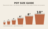 Pot size guide